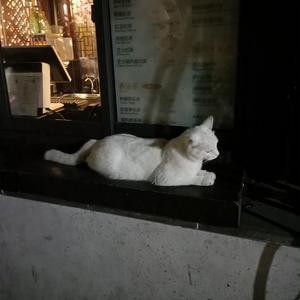 男生插女生鸡动漫
