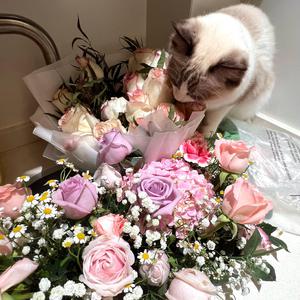 男生插女生鸡动漫
